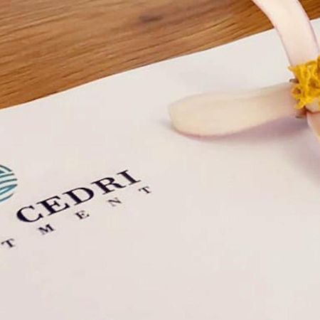Domus Cedri Apartment Santa Maria Del Cedro Εξωτερικό φωτογραφία