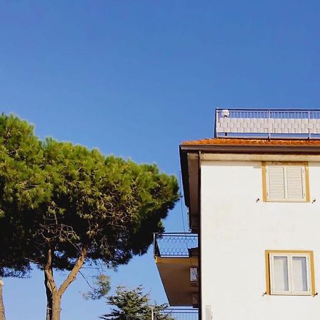 Domus Cedri Apartment Santa Maria Del Cedro Εξωτερικό φωτογραφία