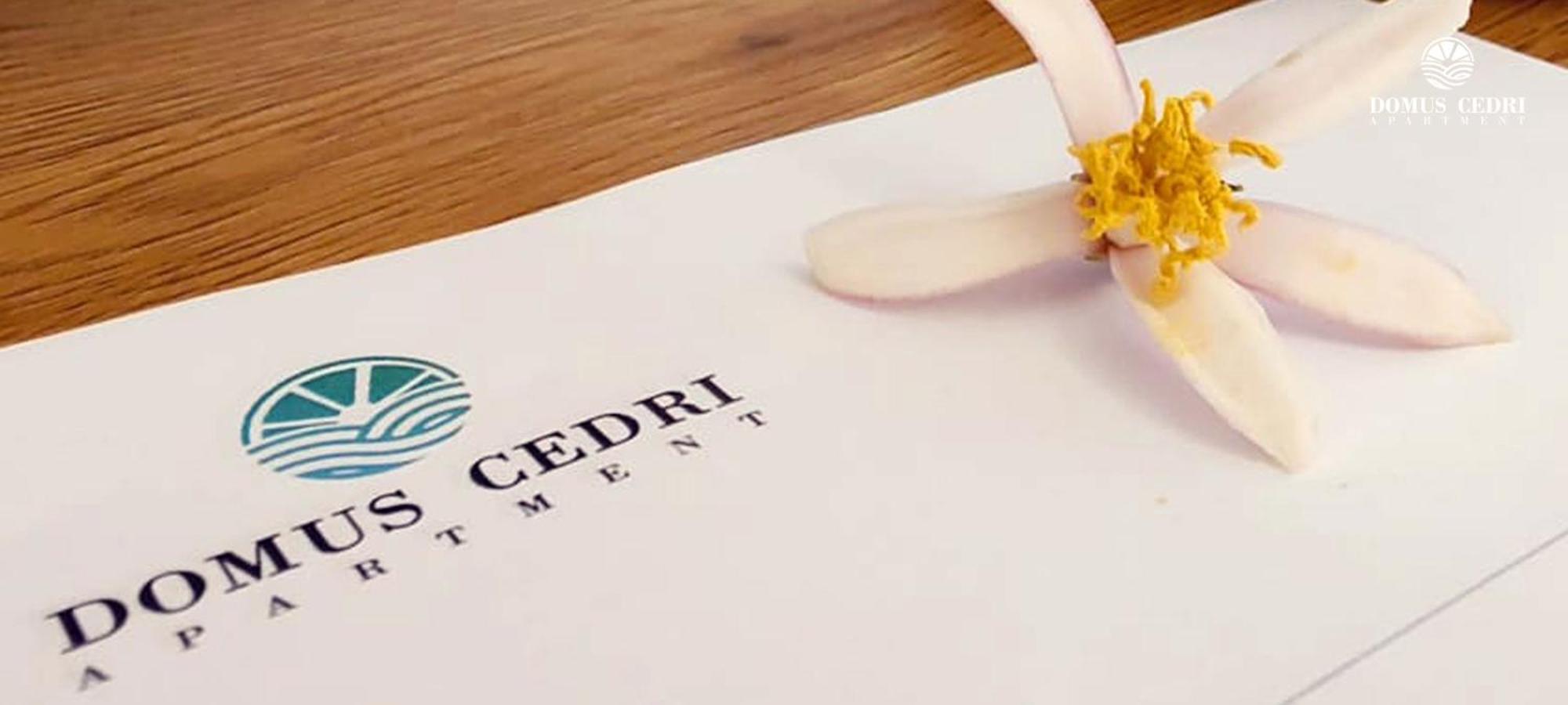 Domus Cedri Apartment Santa Maria Del Cedro Εξωτερικό φωτογραφία