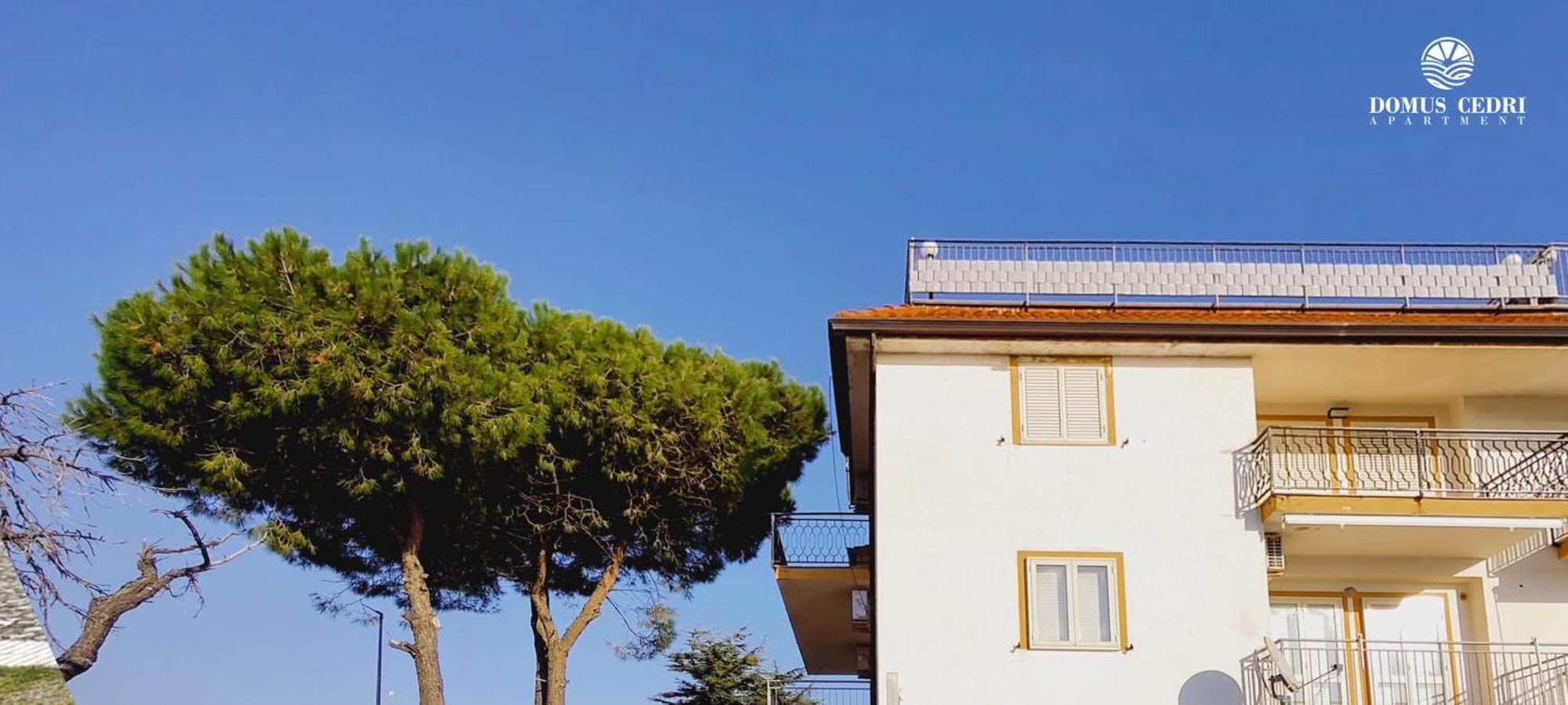Domus Cedri Apartment Santa Maria Del Cedro Εξωτερικό φωτογραφία